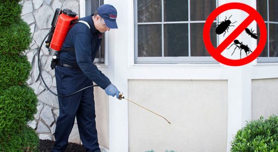Lice Dezenfeksiyon böcek ilaçlama ve haşere kontrolü — ilaclama-tr.com
